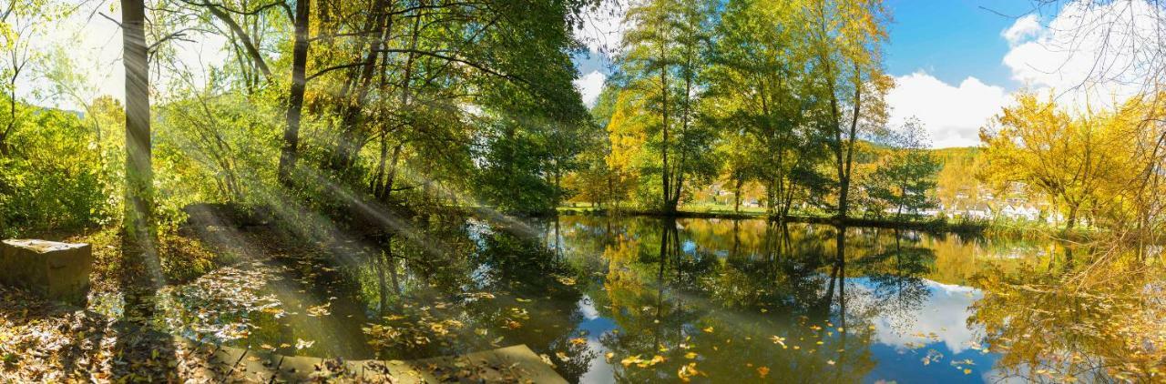 Ferienwohnung Saalhausen Sauerland Леннештадт Экстерьер фото